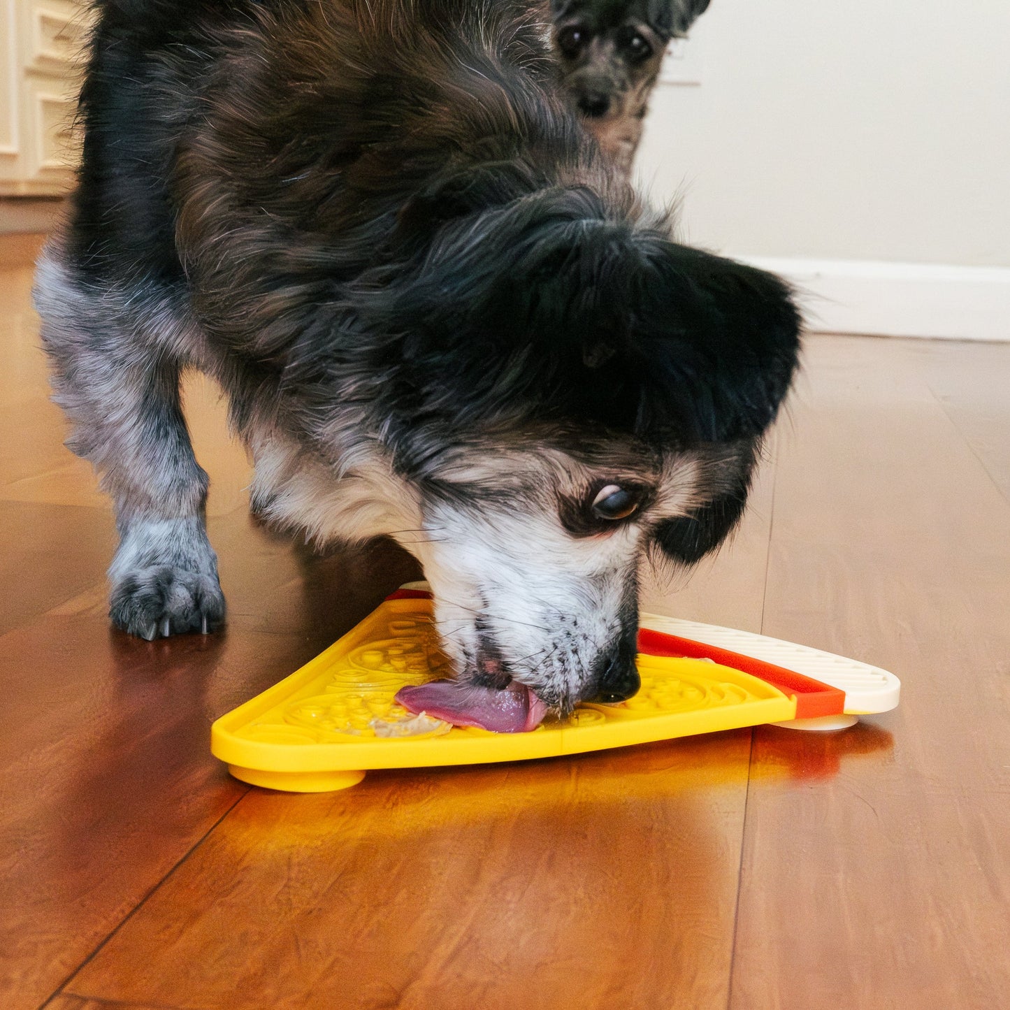 Pizza Shaped Lick Mat