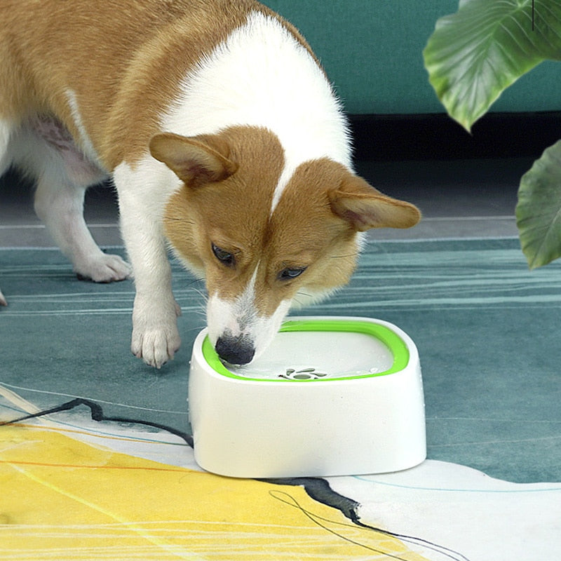 Splash Proof Water Bowl