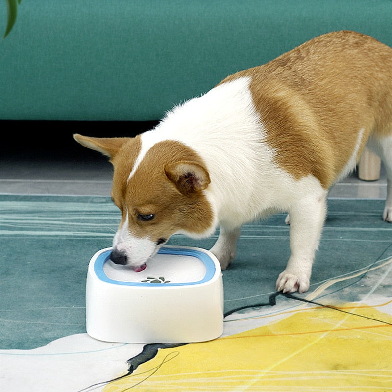 Splash Proof Water Bowl