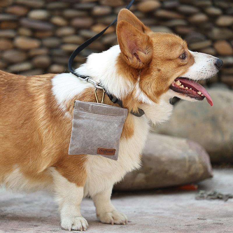 Dog Training Snack Bag