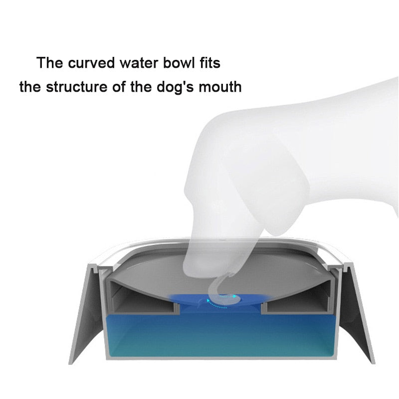 Splash Proof Water Bowl