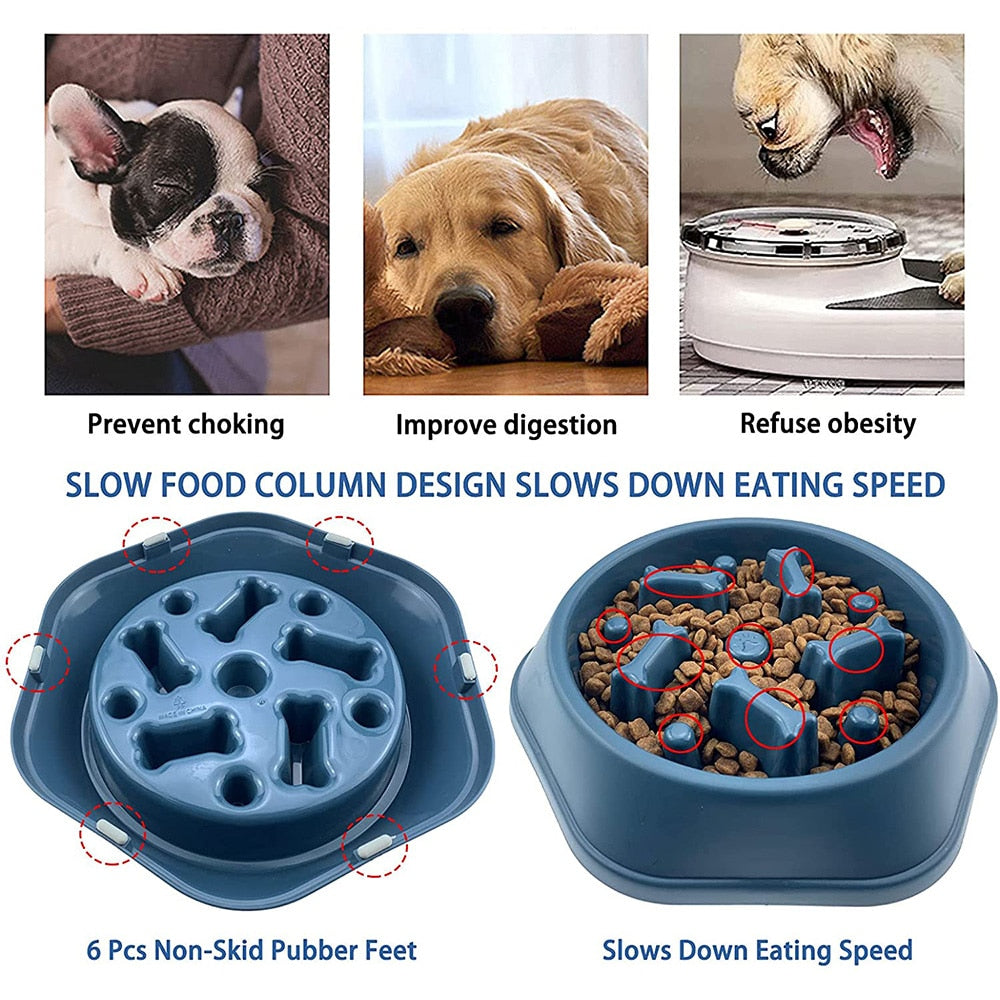 Pet Bowl Slow Feeder