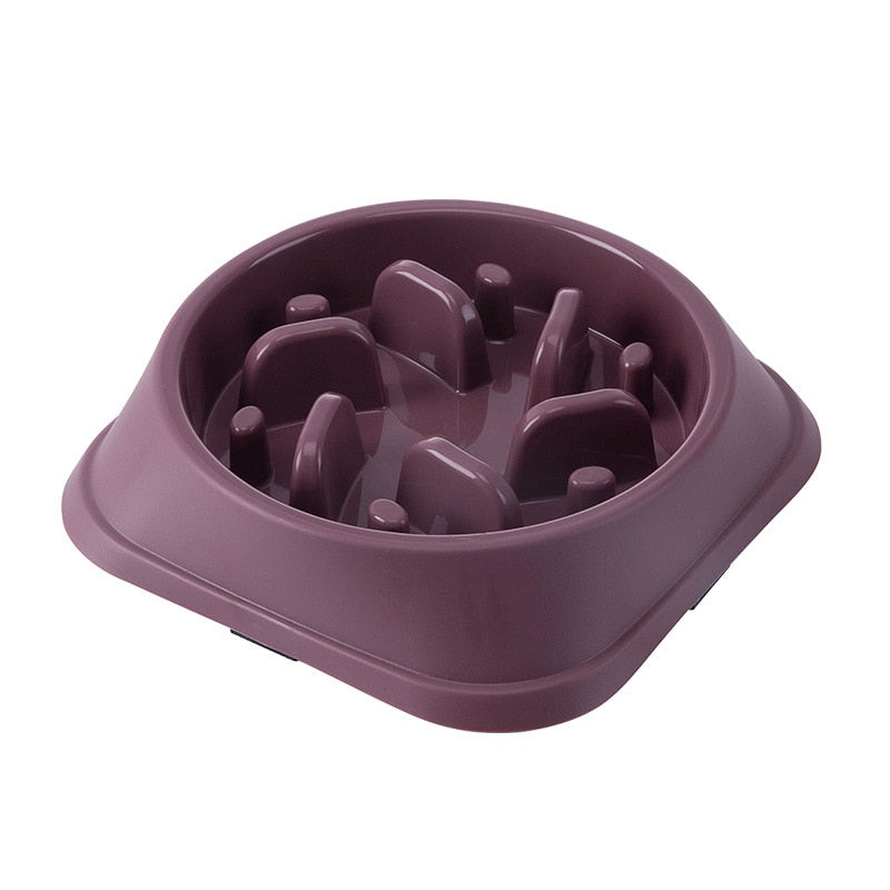 Pet Bowl Slow Feeder