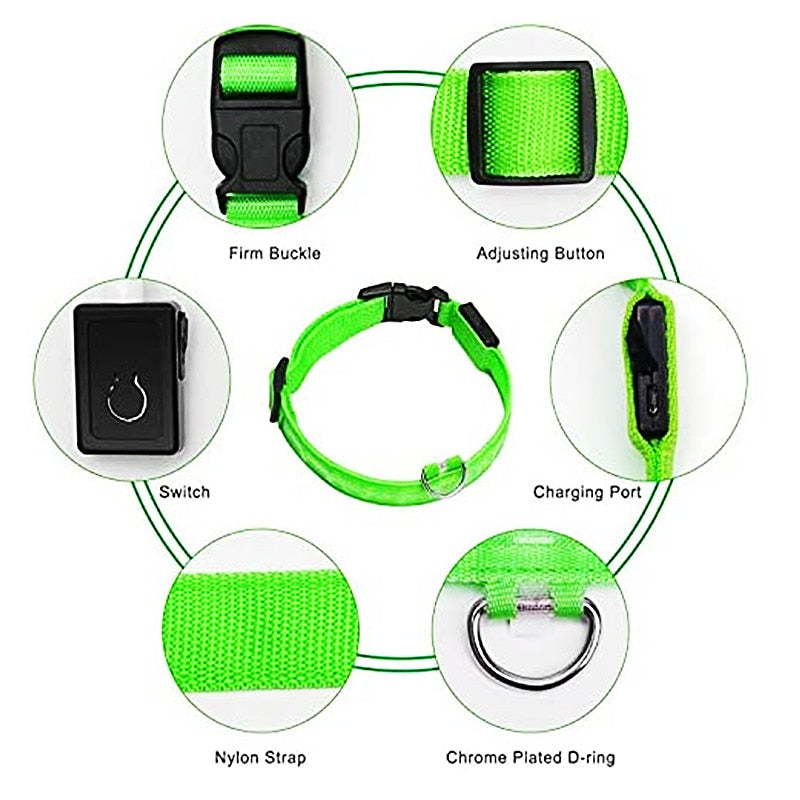 LED Pet Collar