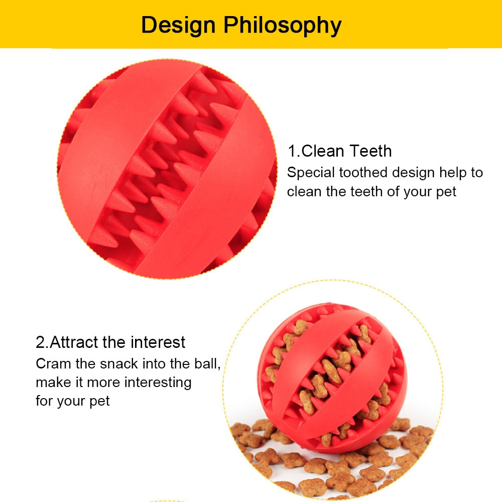 Interactive Ball Multi-Functional