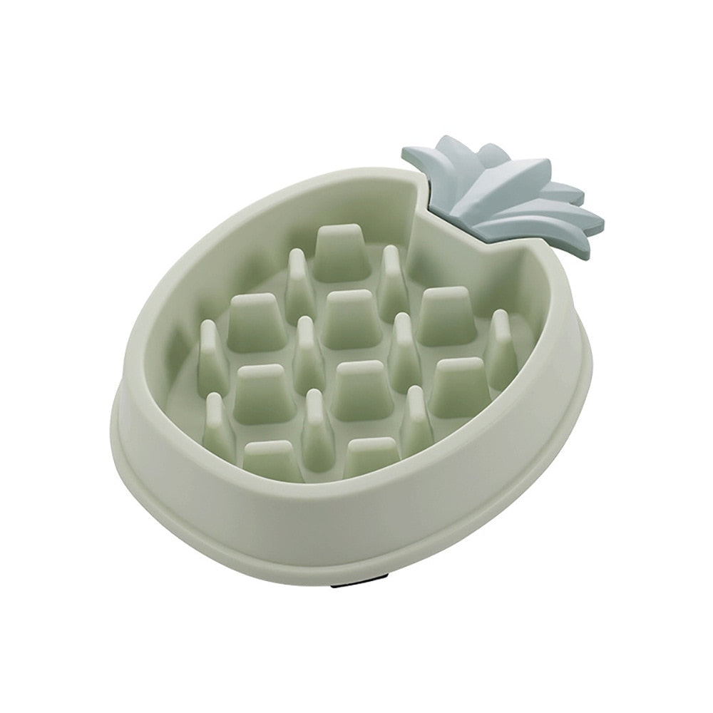 Pet Bowl Slow Feeder