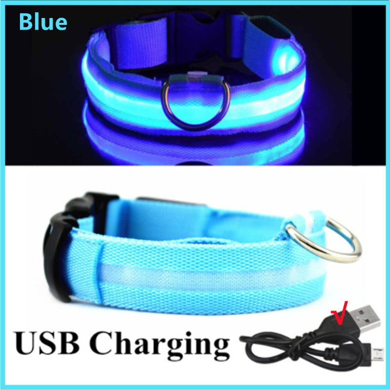 LED Pet Collar