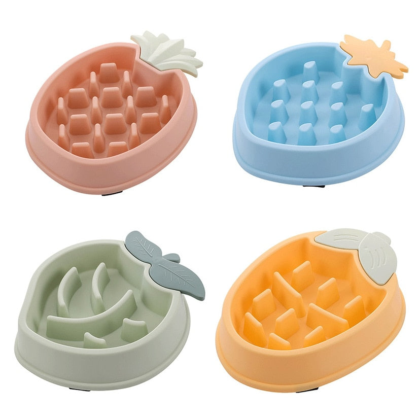 Pet Bowl Slow Feeder