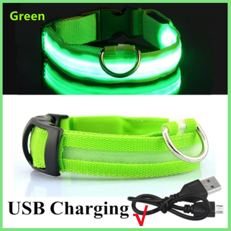 LED Pet Collar