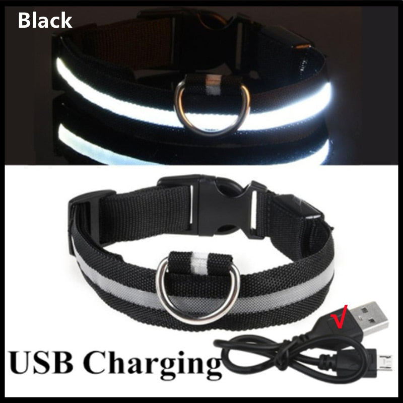 LED Pet Collar