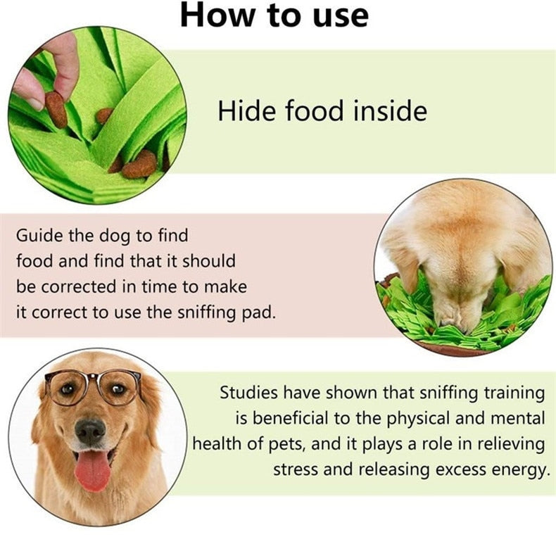 Slow Feeding Intelligence Mat