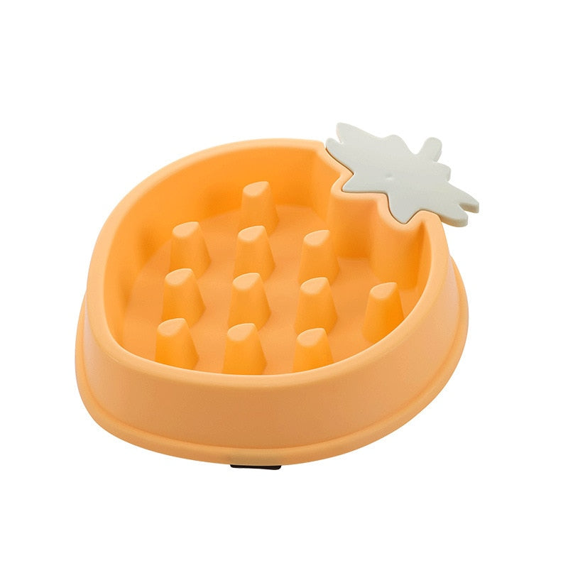 Pet Bowl Slow Feeder