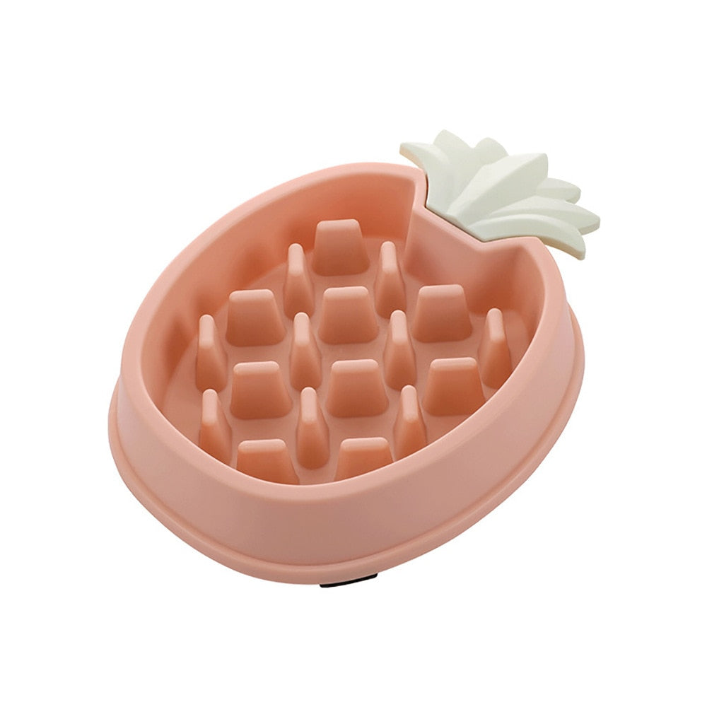 Pet Bowl Slow Feeder