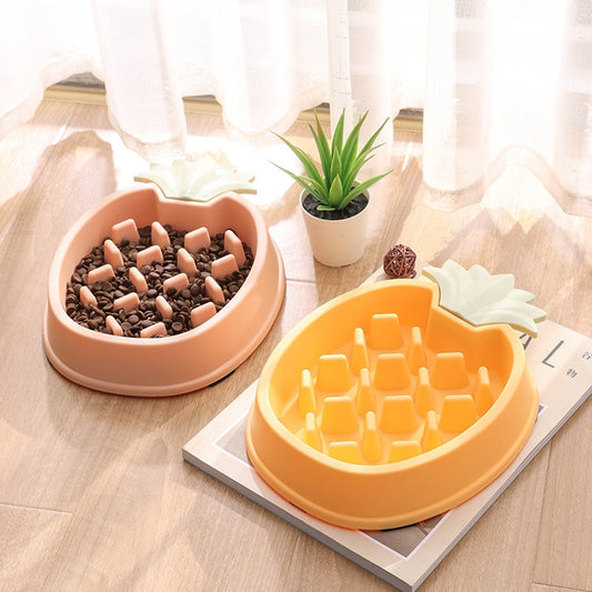 Pet Bowl Slow Feeder