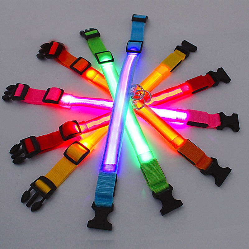 LED Pet Collar