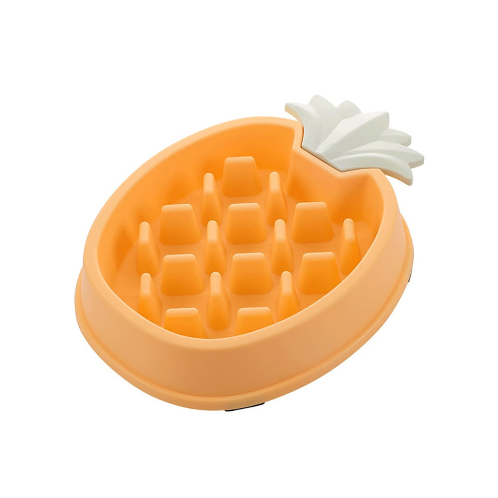 Pet Bowl Slow Feeder