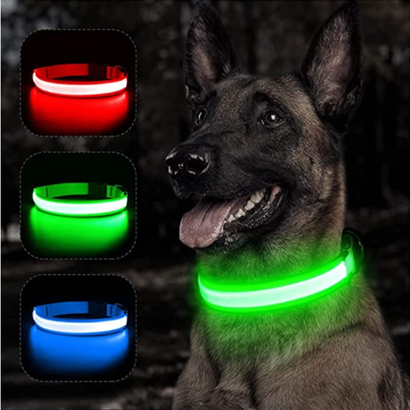 LED Pet Collar