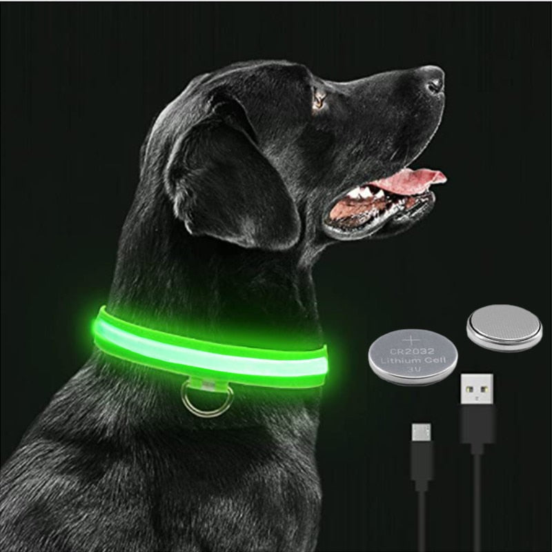 LED Pet Collar