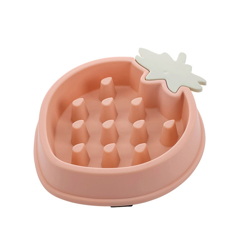 Pet Bowl Slow Feeder