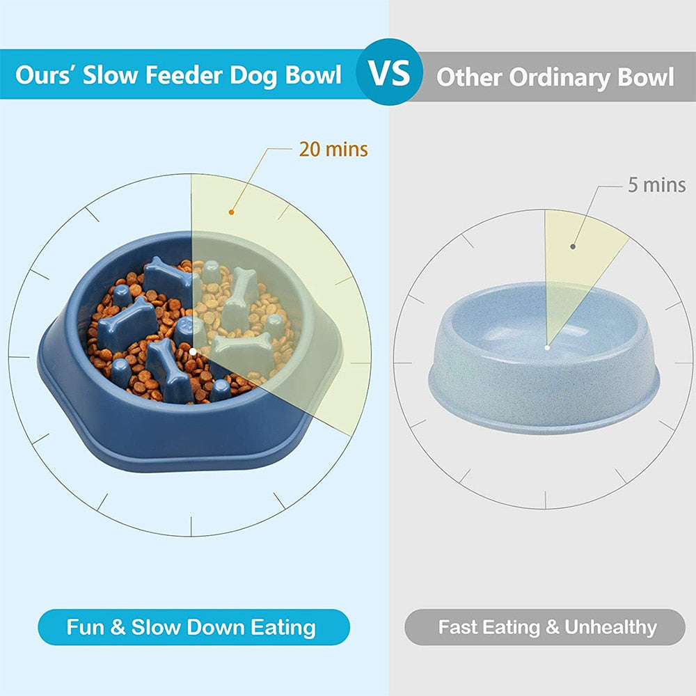 Pet Bowl Slow Feeder