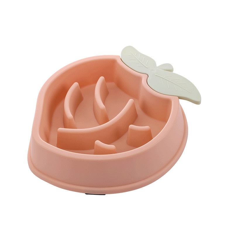 Pet Bowl Slow Feeder