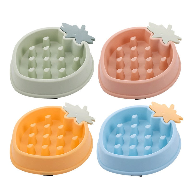 Pet Bowl Slow Feeder