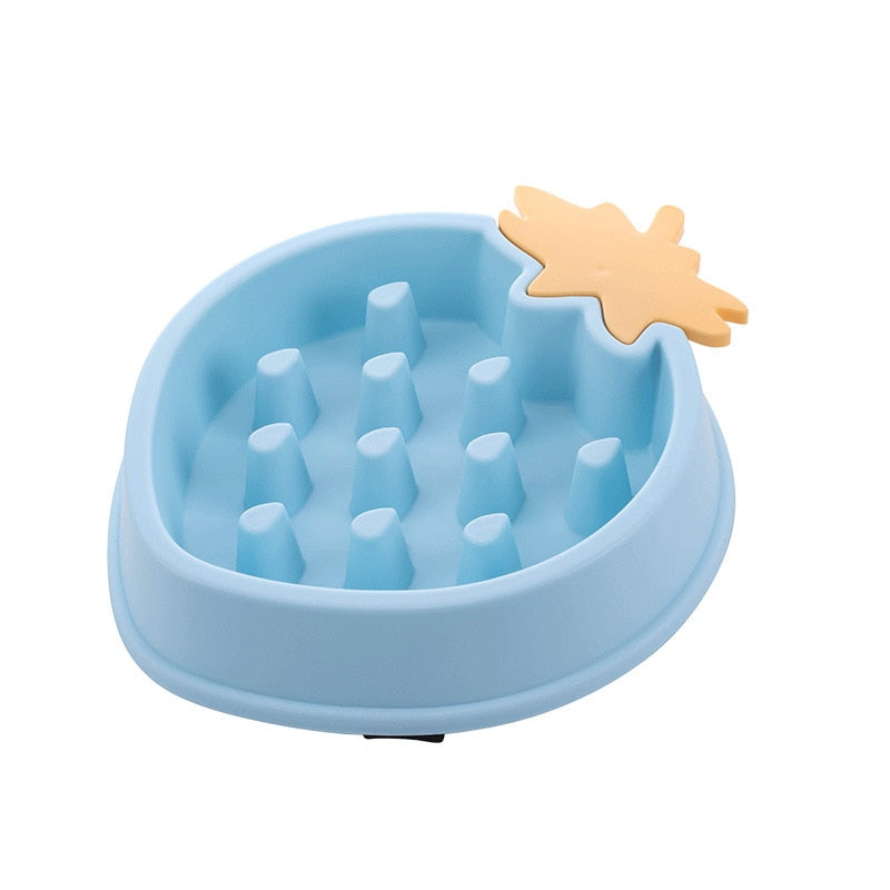 Pet Bowl Slow Feeder