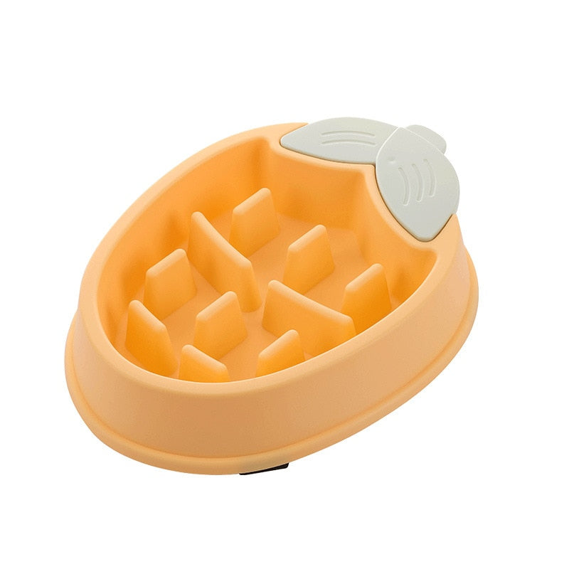 Pet Bowl Slow Feeder