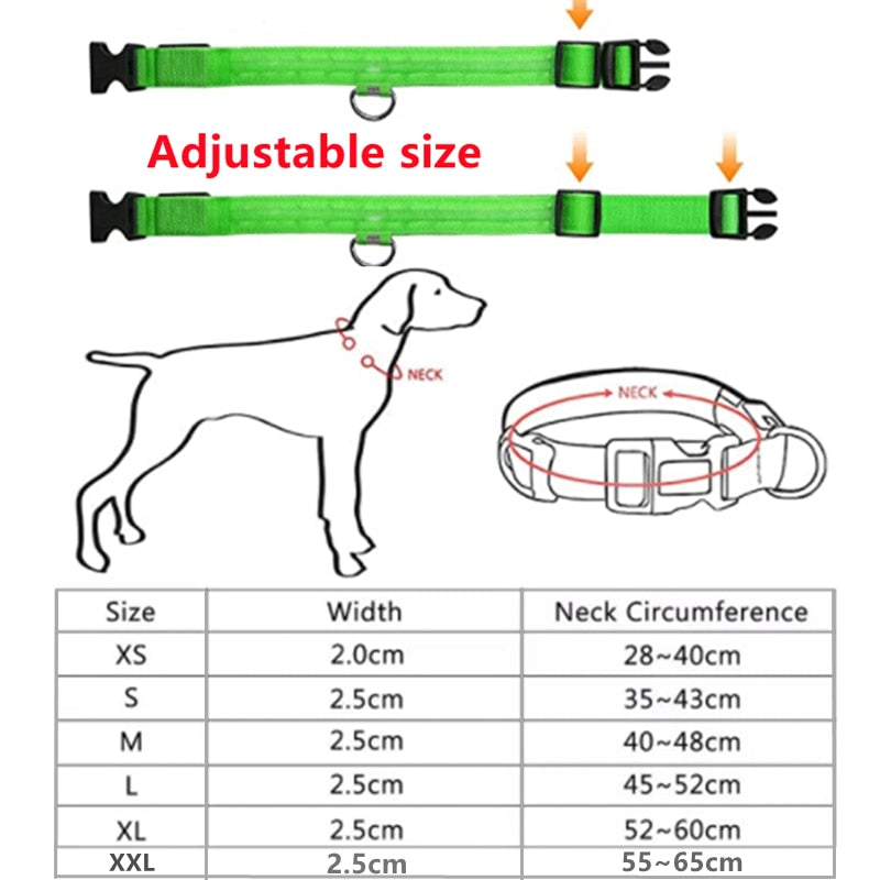 LED Pet Collar