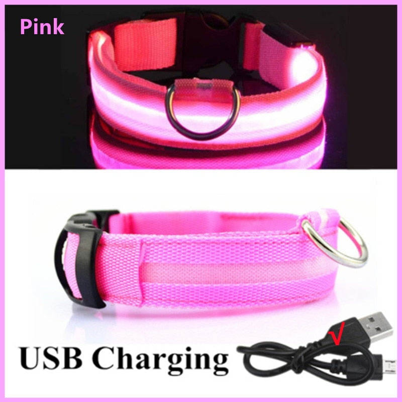 LED Pet Collar